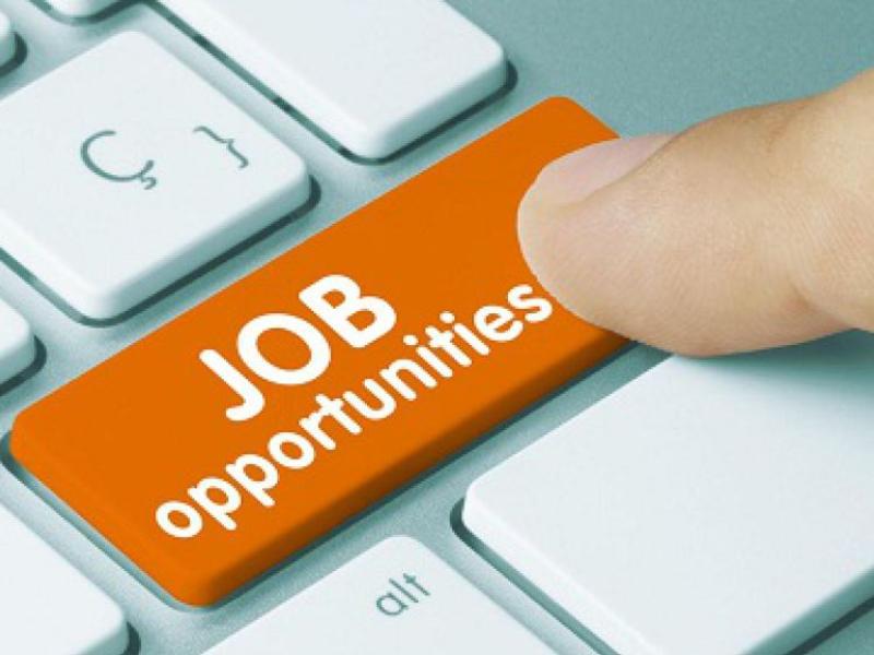 JOB ALERT: Hegarty's Home Interiors hiring Accounts Assistant
