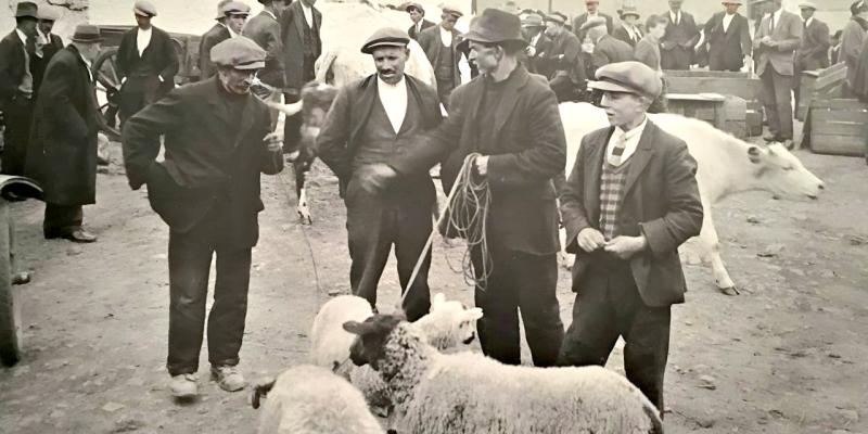 Carn Men’s Shed to launch exhibition on  history of farming in Inishowen  