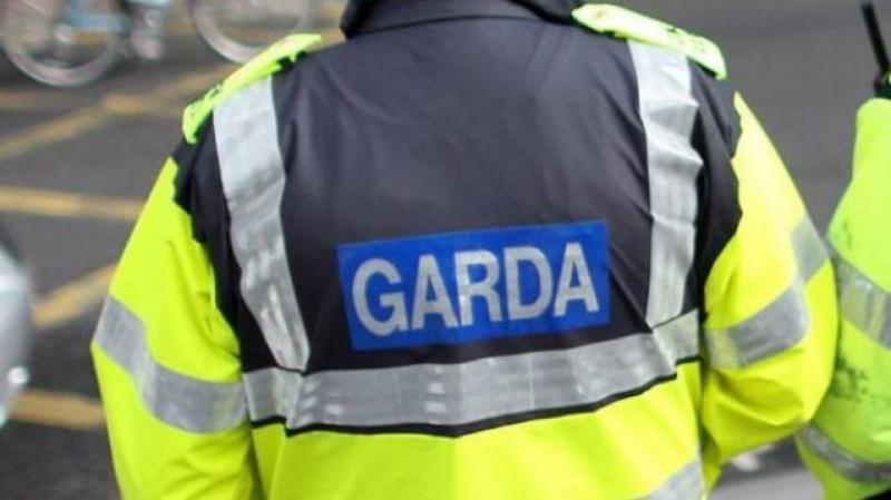 Two men arrested by gardai investigating human trafficking and labour exploitation