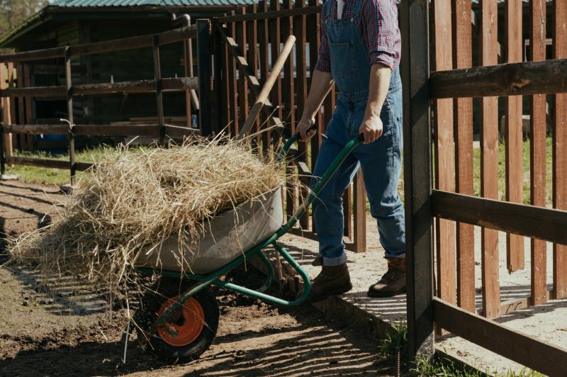 National: 'Rural Ireland doesn't matter' - Macra disappointed as long-standing issues not addressed in Budget 