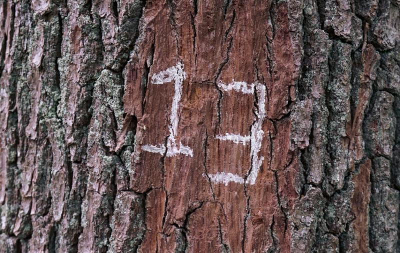 POLL:  Friday the 13th - do you believe it's an unlucky day?