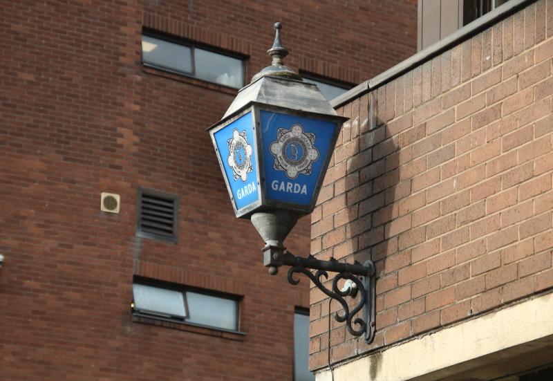 Cash, firearms and drugs seized in garda operation targeting organised crime