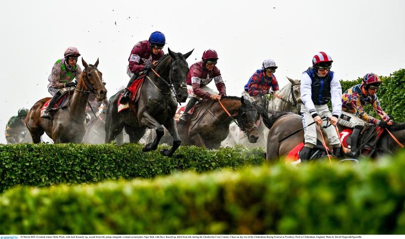 Cross-Country chase abandoned at Cheltenham after deluge of rain on track