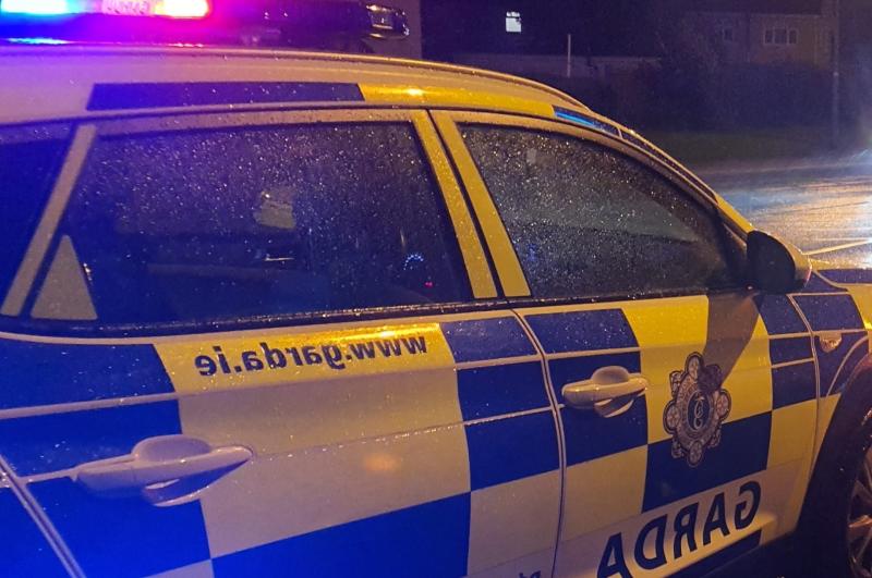 National: Garda&iacute; make shocking discovery after stopping erratic driver 