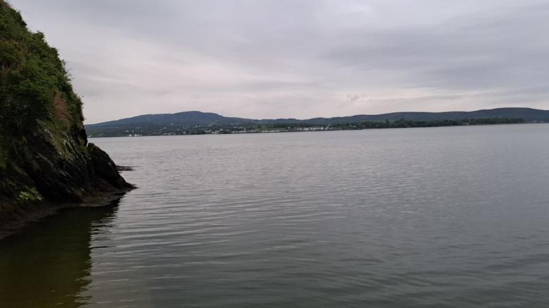 Council says shoreline water quality issues caused by ‘organic matter’ 