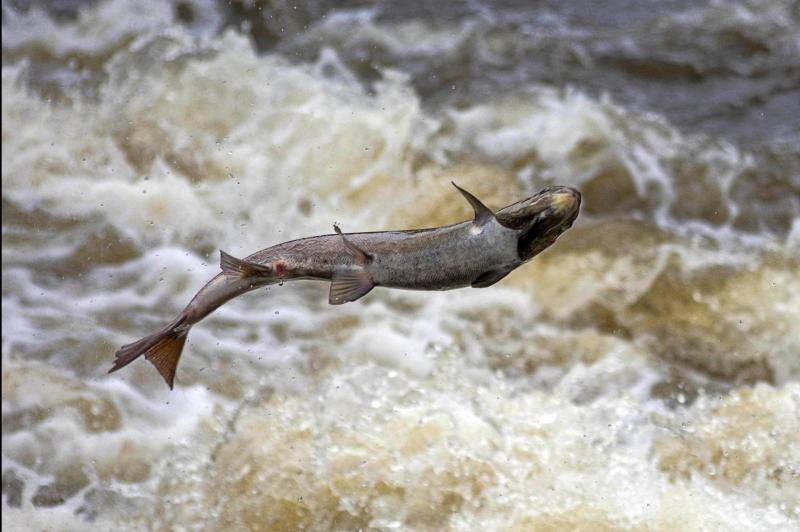 Minister McConalogue launches scheme to support new entrants into fishing industry