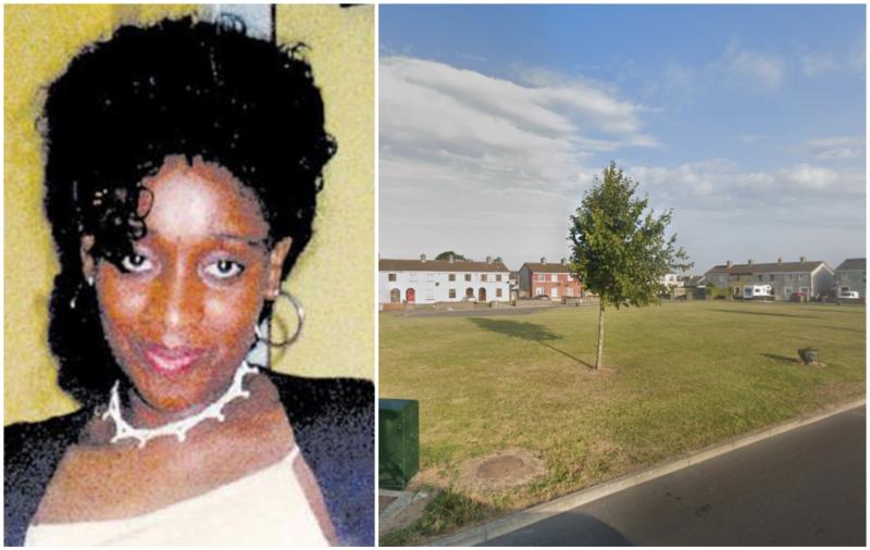 Mystery remains for garda&iacute; after two women out walking find dead body in Kilkenny