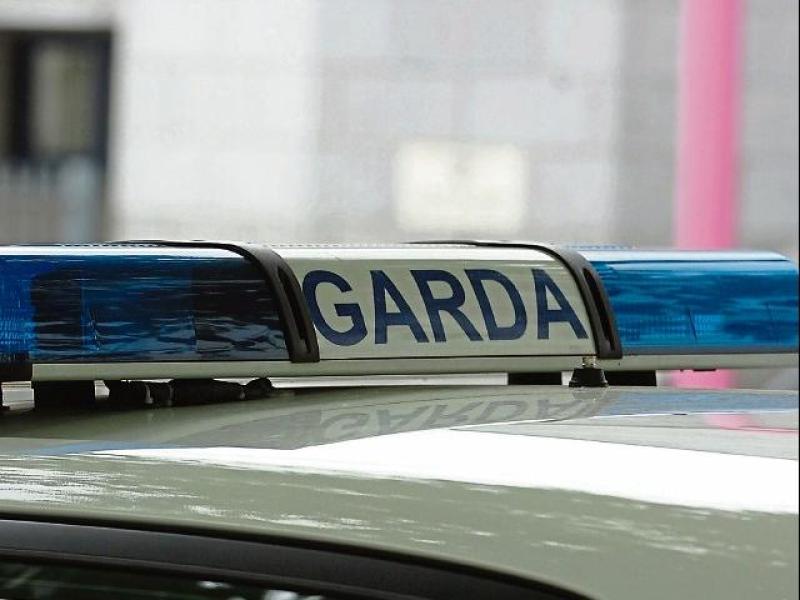 Number of 'endangered' animals seized in Limerick