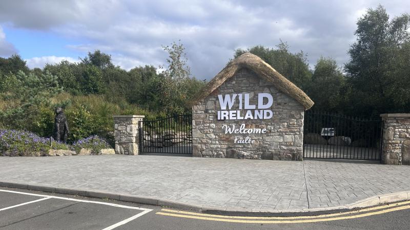 Call for Government action on tourism after ‘disappointing’ summer