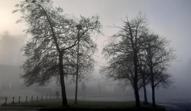 Overnight mist and fog will gradually clear most areas in Donegal today