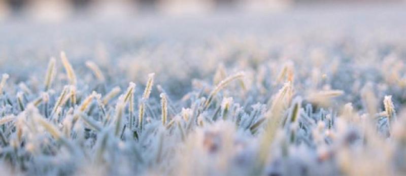 Weather warning says widespread frost and icy stretches in store for Donegal