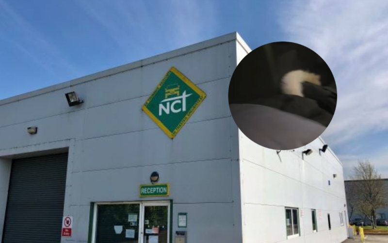 ALERT: NCT testers stunned by discovery made in back seat amid serious warning