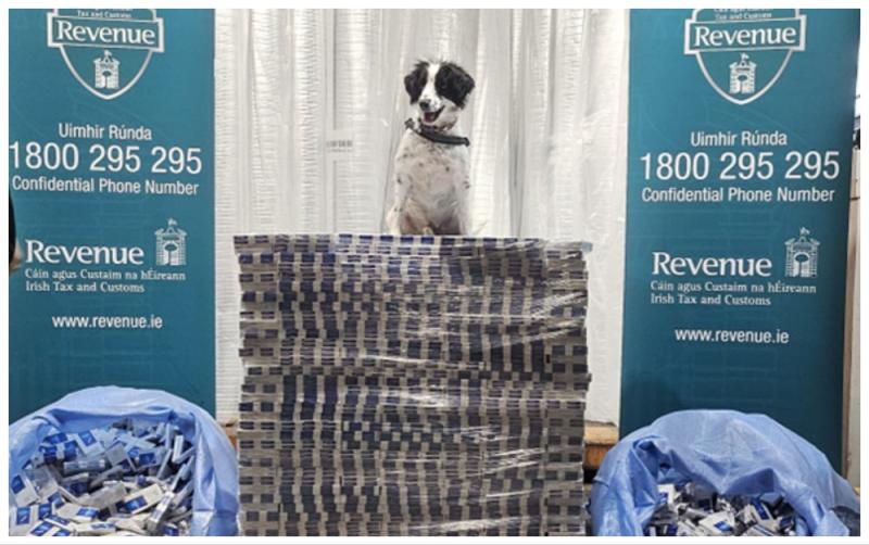 Revenue detector dog smokes out almost €7m worth of illegal cigarettes at Irish port