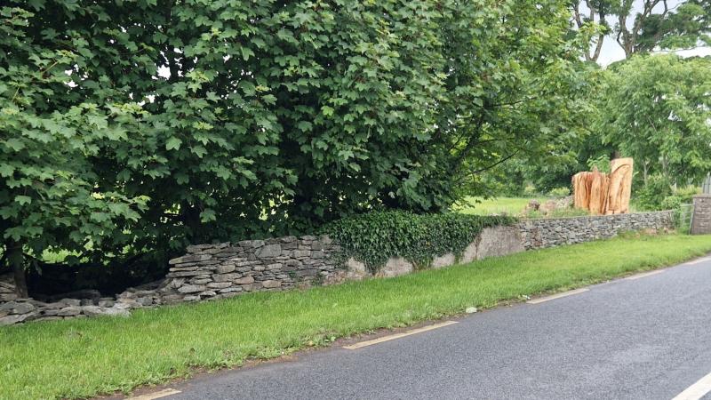 Car collision in Carrigans sparks urgent safety plea