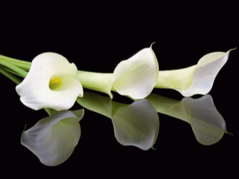 &lsquo;It&rsquo;s devastating&rsquo;: Limerick woman who died in house fire named locally