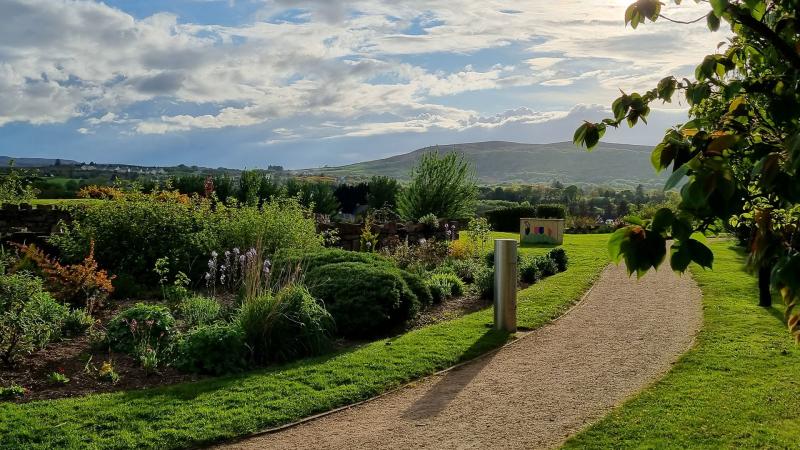 Planning sought for re-wetting of lands in Carndonagh