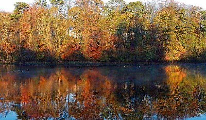 A dry day with crisp spells of autumn sunshine in Donegal today before a cold night