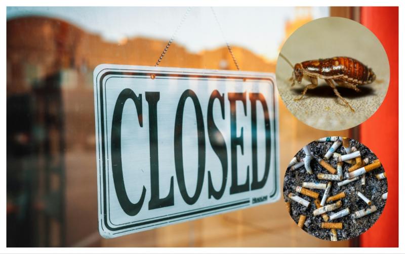 'Live cockroaches, filthy kitchens' - 14 food businesses in Ireland forced to close in November