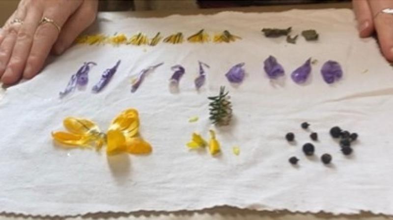 Free workshops to explore Buncrana&rsquo;s wildflowers, craft and heritage