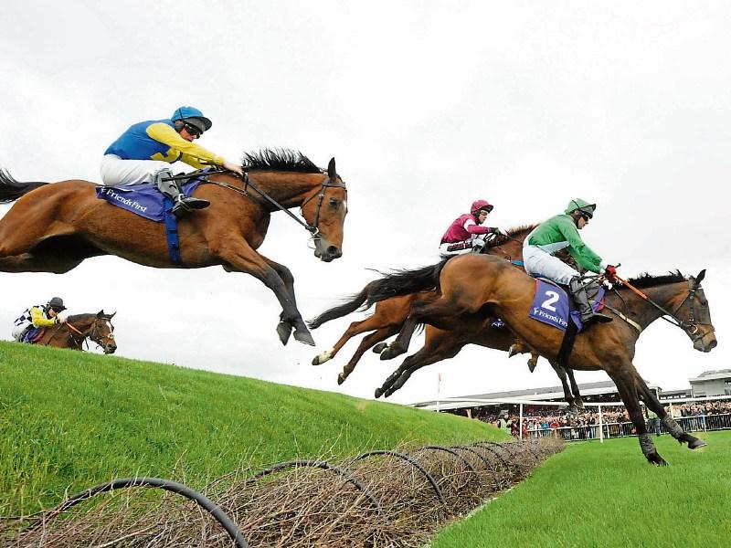 RACING: Top tips for a packed Sunday card at Punchestown 