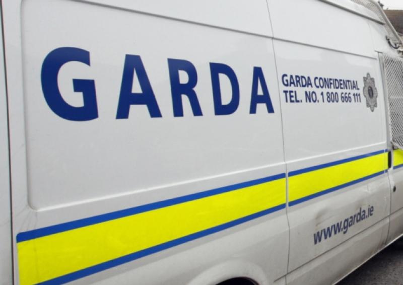 Garda&iacute; arrest three men suspected of money laundering offences