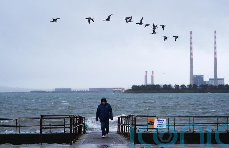 Seven counties under red wind warning as Storm Darragh nears Ireland