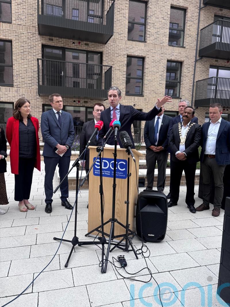 Councillors’ job is to build houses and not object to them – Tanaiste