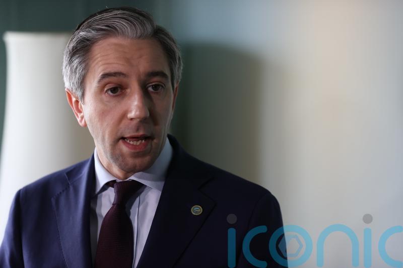 Indian representatives in Ireland want taskforce to address ‘spate of attacks’