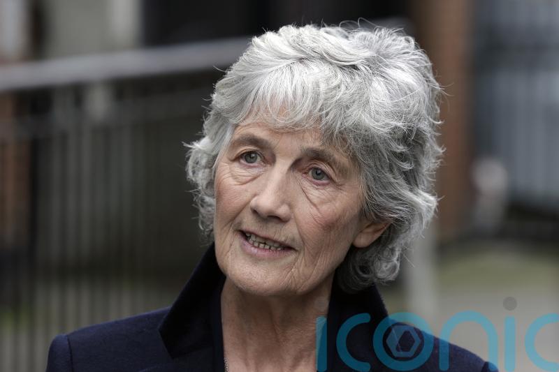 Catherine Connolly confirms she used parliamentary allowance for Syria trip