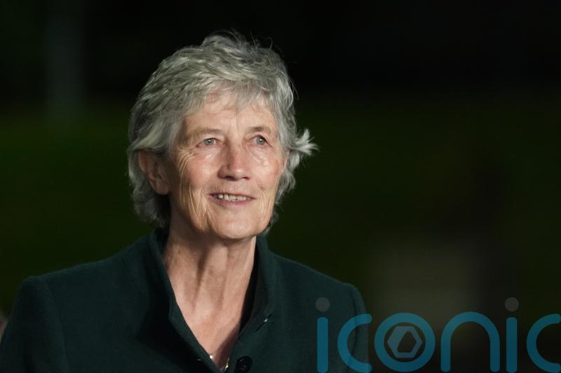 Connolly condemns deepfake video which suggests she has quit presidential race