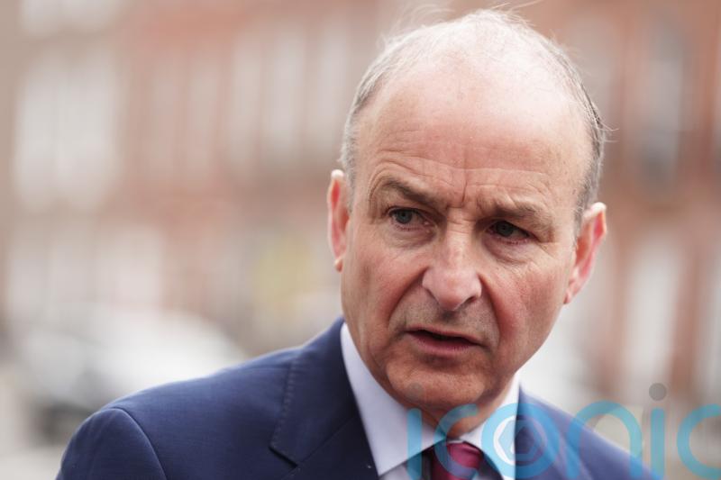 I will lead Fianna Fail into the next election &ndash; Martin